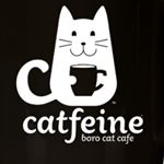 Catfeine discount code